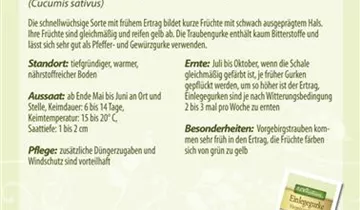 Bildvorschau