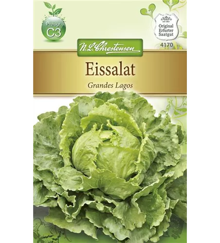 Salatsamen 'Grandes Lagos'