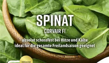 Bildvorschau
