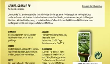 Bildvorschau