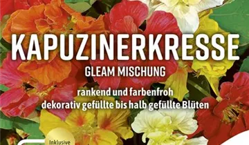 Bildvorschau