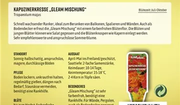 Bildvorschau