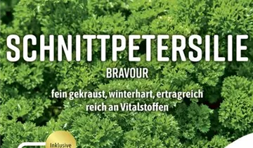 Bildvorschau