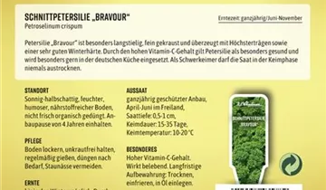 Bildvorschau