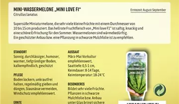 Bildvorschau