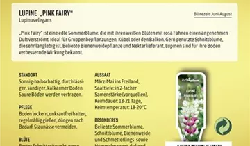 Bildvorschau