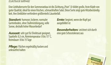 Bildvorschau