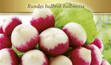 Bildvorschau