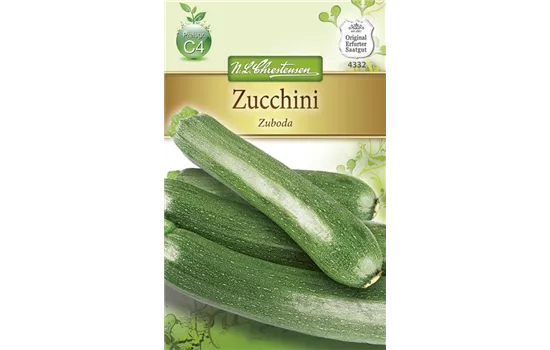 Zucchinisamen 'Zuboda'