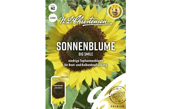 Sonnenblumensamen 'Big Smile'