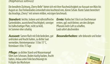 Bildvorschau