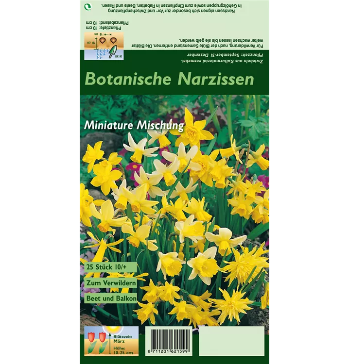 Narcissus, botanisch