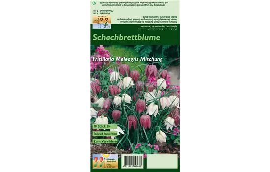 Gewöhnliche Schachblume