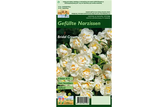 Narzisse 'Bridal Crown'