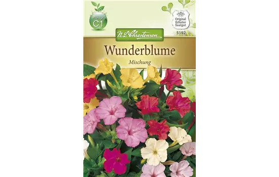 Wunderblumensamen