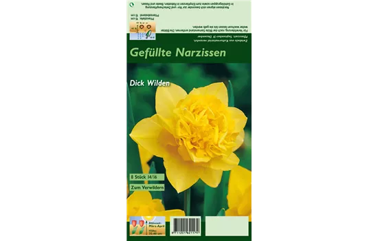 Narzisse 'Dick Wilden'