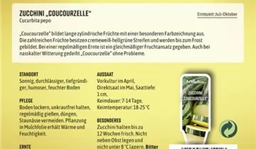 Bildvorschau
