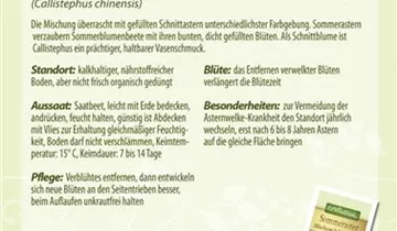 Bildvorschau