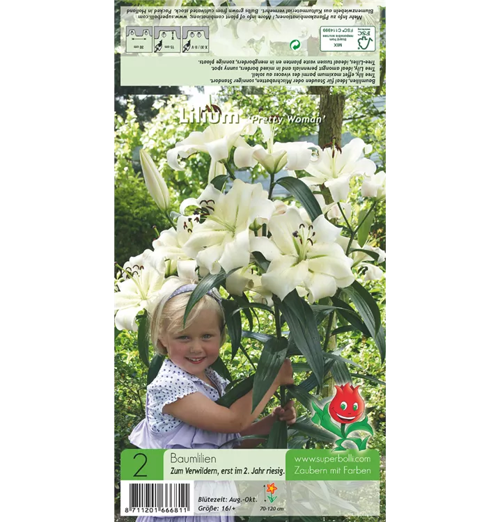 Lilium 'Tree-Lily® Pretty Woman'