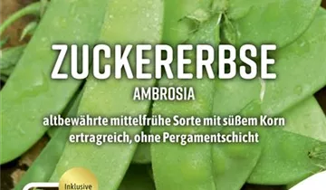 Bildvorschau