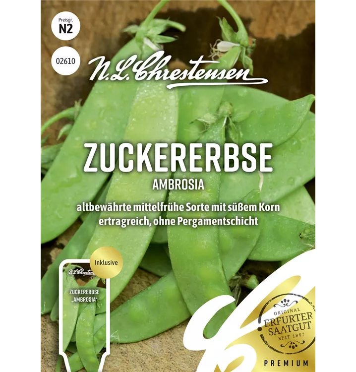 Pisum sativum 'Ambrosia'
