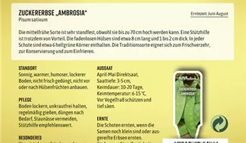 Bildvorschau