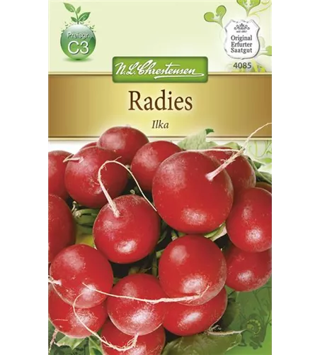 Radieschensamen 'Ilka'