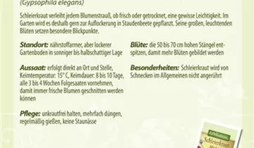 Bildvorschau
