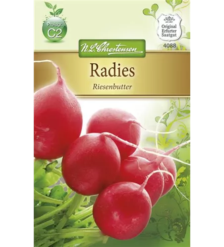 Radieschensamen 'Riesenbutter'