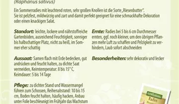 Bildvorschau