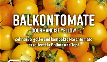 Bildvorschau