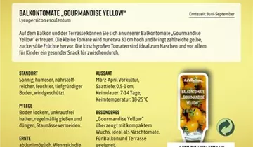 Bildvorschau
