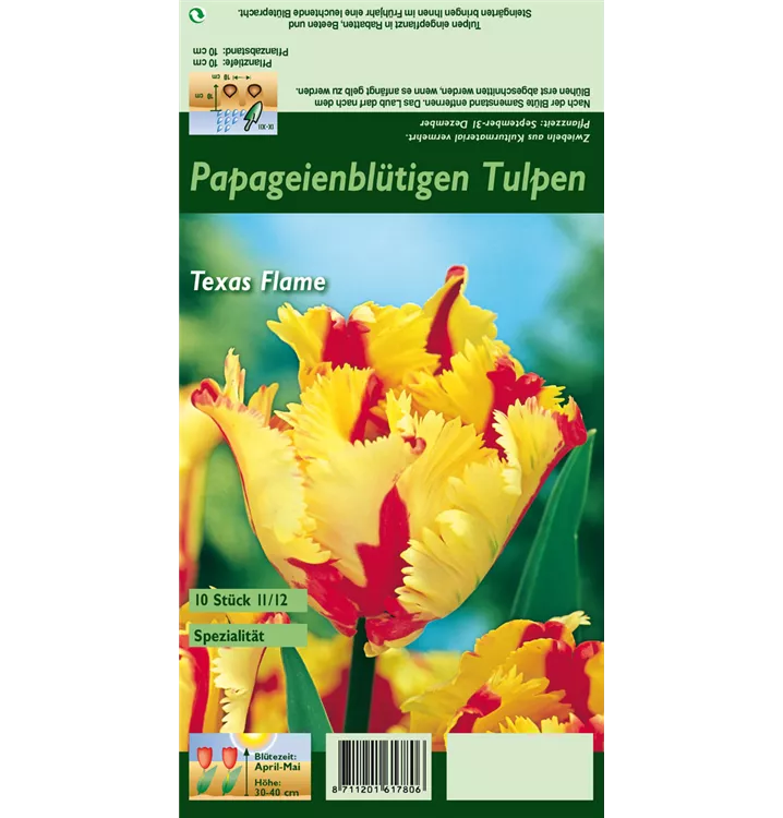 Tulipa 'Texas Flame'