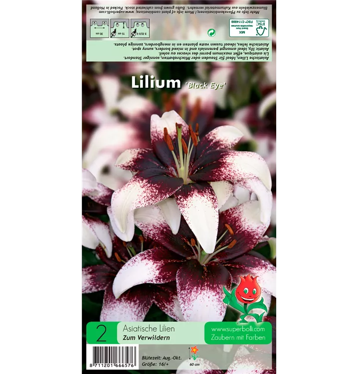 Lilium 'Black Eye'