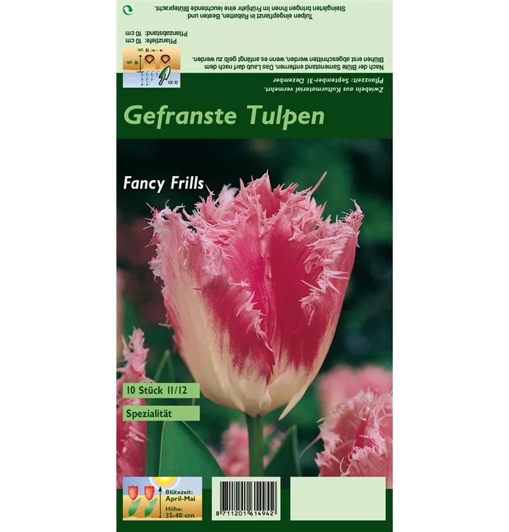 Tulipa 'Fancy Frills'