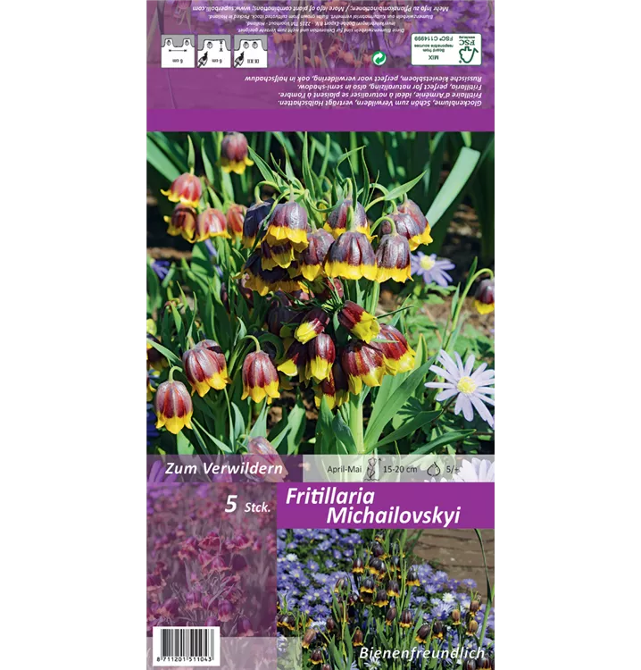 Fritillaria michailovskyi