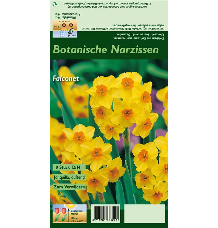 Narcissus 'Falconet'