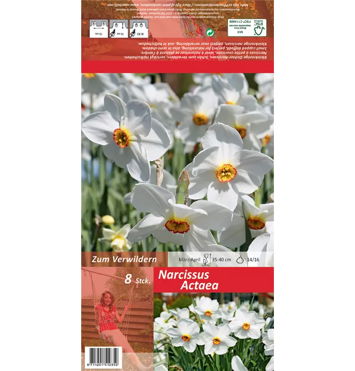 Narcissus poeticus 'Actaea'
