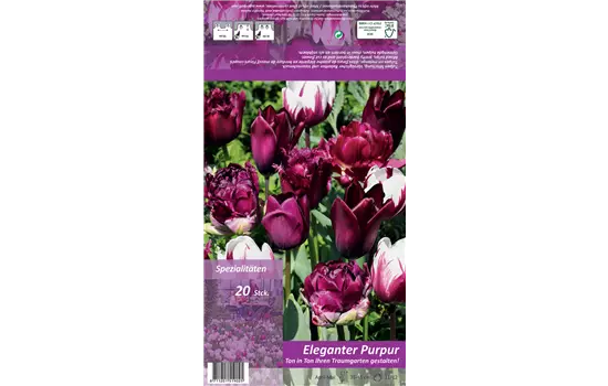 Tulpen 'Ton in Ton - Elegantes Purpur'