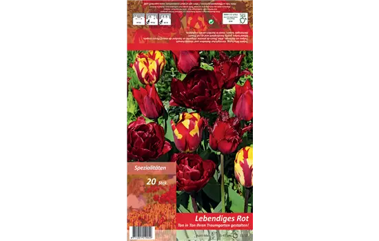 Tulpen 'Ton in Ton - Lebendiges Rot'