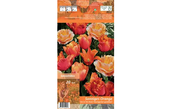 Tulpen 'Ton in Ton - Sonniges Orange'