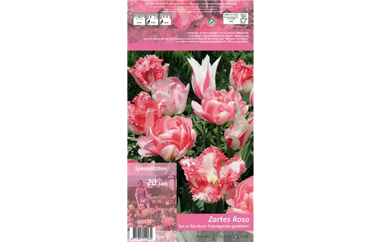 Tulpen 'Ton in Ton - Zartes Rosa'