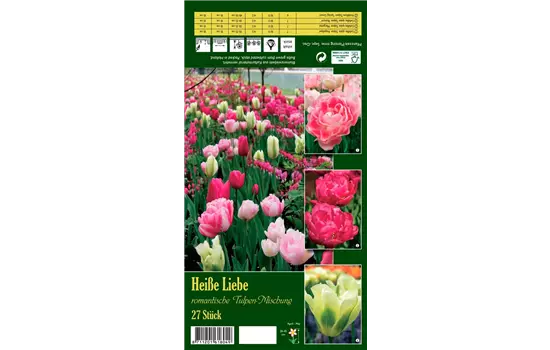 Tulpen-Mix 'Heiße Liebe'