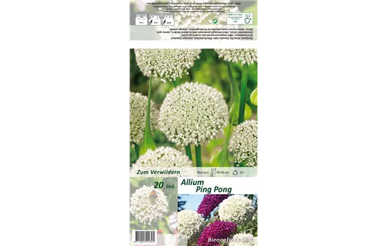 Zierlauch 'Ping Pong'