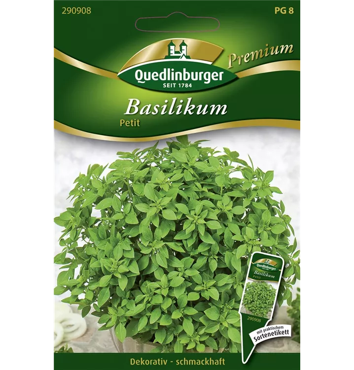 Ocimum basilicum var. minimum 'Petit'