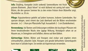Bildvorschau
