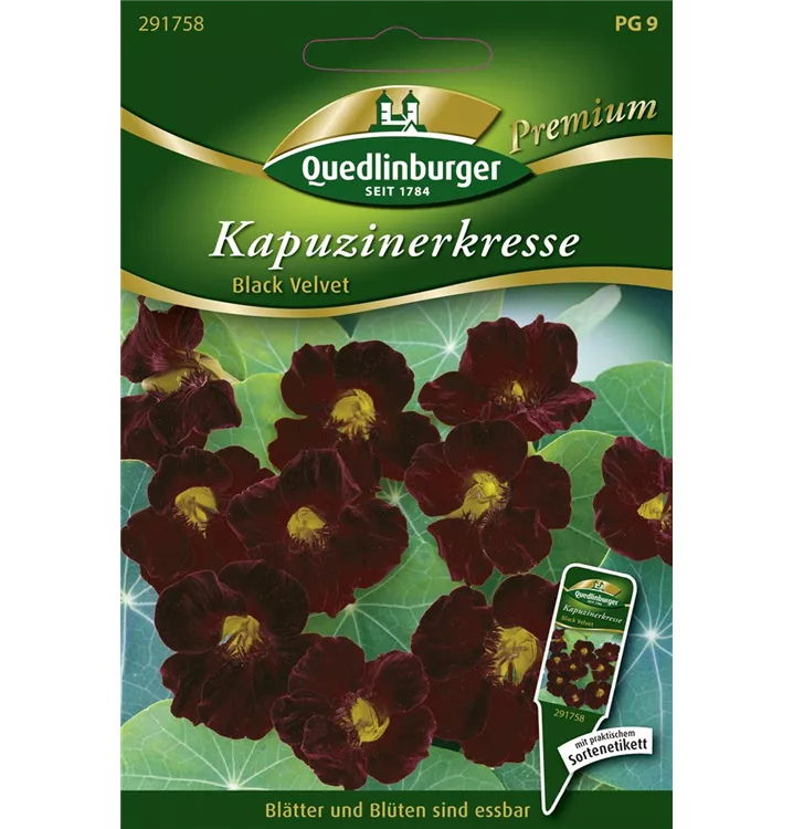 Tropaeolum minus 'Black Velvet'