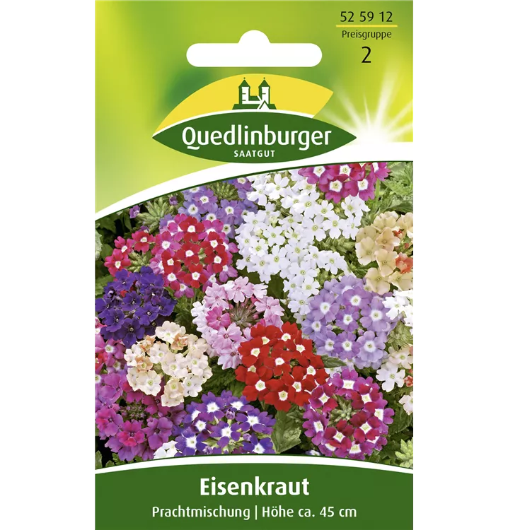 Verbena Hybride 'Prachtmischung'