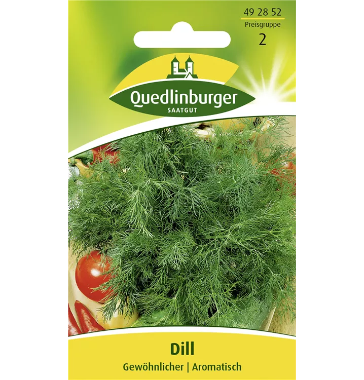 Anethum graveolens