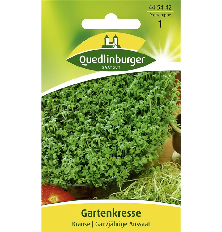 Lepidium sativum 'Krause'